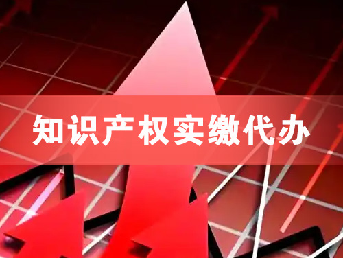 岑溪知识产权实缴资本代办
